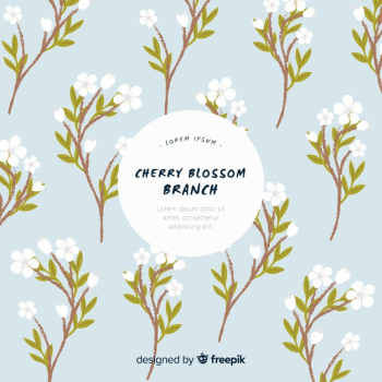 Cherry blossom branch collection Cherry blossom branch collection