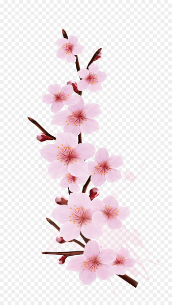 Cherry blossom Branch Tree - Smudge splash cherry design Cherry blossom Branch Tree - Smudge splash cherry design
