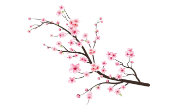 Cherry Blossom Branch with Pink Flowers Cherry Blossom Branch with Pink Flowers