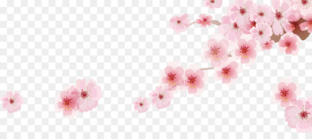 Cherry blossom Cartoon - Romantic Sakura Japanese cartoon decoration 
