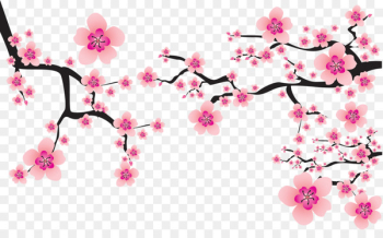 Cherry blossom Cerasus Clip art - sakura Cherry blossom Cerasus Clip art - sakura