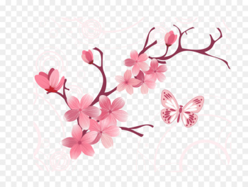 Cherry blossom Cerasus Computer file - Vector tree branches flowers 