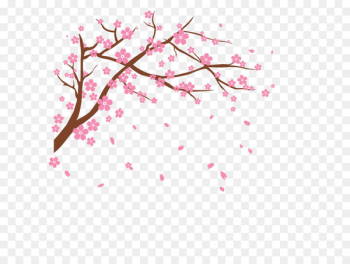 Cherry blossom Clip art - Vector cherry Cherry blossom Clip art - Vector cherry
