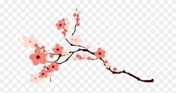 Cherry Blossom Clipart Transparent - Cherry Blossom Vector Png