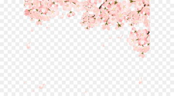 Cherry blossom Copyright-free Illustration - Pretty Peach falling 