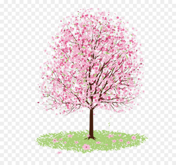 Cherry blossom Drawing Tree - Vector cherry tree Cherry blossom Drawing Tree - Vector cherry tree