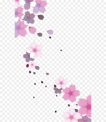 Cherry blossom Flower - Falling Cherry blossom Flower - Falling