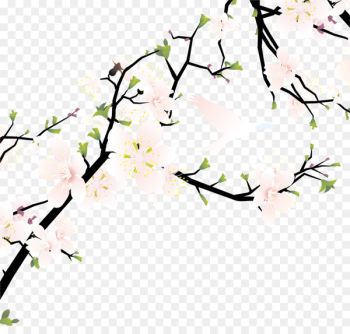 Cherry blossom Flower Illustration - Pink white fresh peach peach branches 