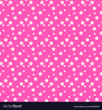 cherry blossom flowers on pink background cherry blossom flowers on pink background