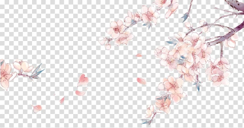 Cherry blossom illustration, China Chinese art Drawing Anime, Hand-painted cherry blossom flower-free material transparent background PNG clipart