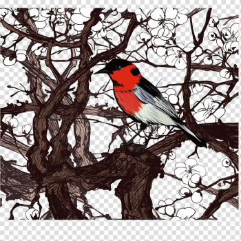 Cherry blossom Illustration, Tree bird transparent background PNG clipart