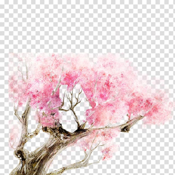 Cherry blossom, Ink cherry transparent background PNG clipart Cherry blossom, Ink cherry transparent background PNG clipart