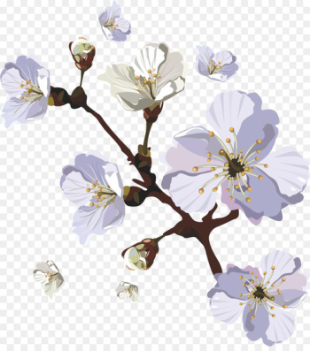 Cherry blossom - Painted cherry blossoms Cherry blossom - Painted cherry blossoms