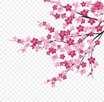 Cherry blossom Pink - Cherry blossoms Cherry blossom Pink - Cherry blossoms