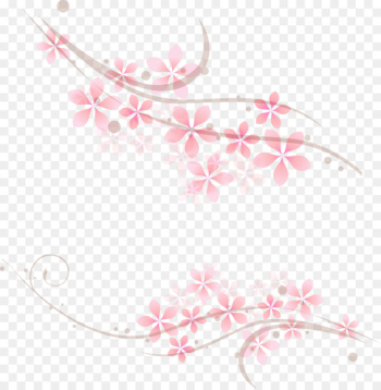 Cherry blossom Pink - Pink cherry blossoms Cherry blossom Pink - Pink cherry blossoms