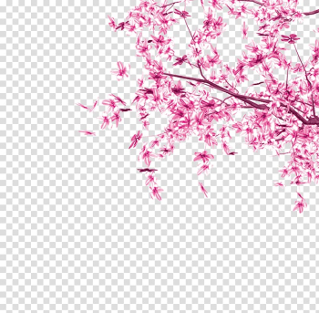 Cherry blossom Pink Tree Leaf, Pink leaves transparent background PNG clipart