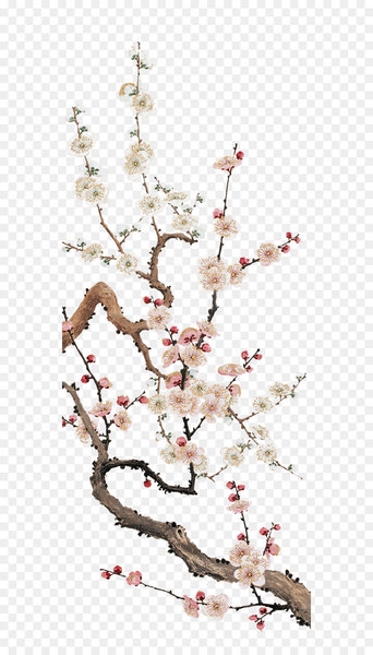 Cherry blossom Plum blossom Flower - Plum flower Cherry blossom Plum blossom Flower - Plum flower