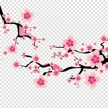 Cherry blossom Plum blossom , Plum flower transparent background PNG clipart Cherry blossom Plum blossom , Plum flower transparent background PNG clipart