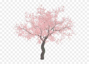 Cherry Blossom Tree Clip Art - Cherry Blossom Tree Png