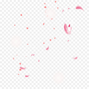 Cherry blossom Video Icon - Cherry blossom petals floating decorative material 
