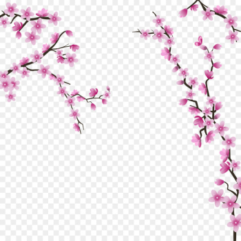 Cherry blossom Wedding invitation Flower - Cherry blossoms Cherry blossom Wedding invitation Flower - Cherry blossoms