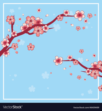 cherry blossoms branch with blue background