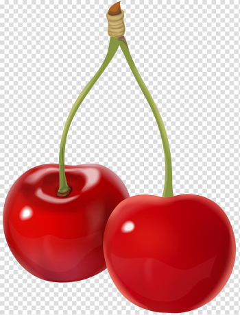 Cherry , cherries transparent background PNG clipart Cherry , cherries transparent background PNG clipart