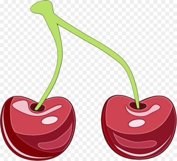 cherry clip art plant fruit drupe cherry clip art plant fruit drupe