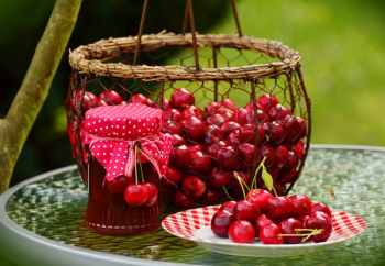 Cherry Fruit Cherry Fruit