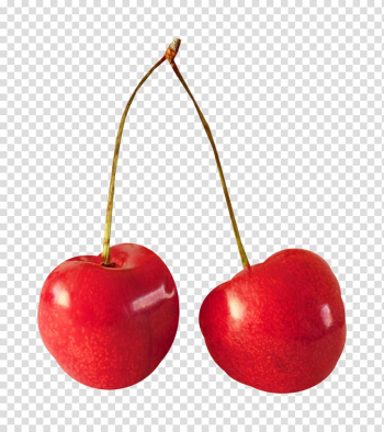 Cherry Fruit Cerasus Berry, 2 Cherry,cherries transparent background PNG clipart Cherry Fruit Cerasus Berry, 2 Cherry,cherries transparent background PNG clipart
