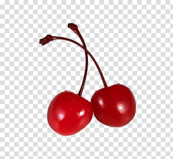 Cherry Fruit, Cherry transparent background PNG clipart Cherry Fruit, Cherry transparent background PNG clipart