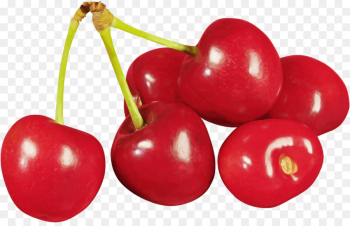 cherry fruit plant natural foods food cherry fruit plant natural foods food
