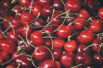 Cherry Fruits Cherry Fruits