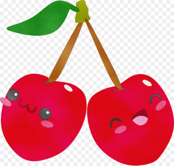 cherry heart clip art plant fruit cherry heart clip art plant fruit