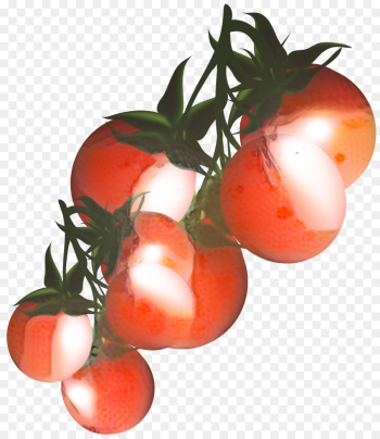 Cherry Tomato, Vegetable, Tomato Sauce, Tomato, Solanum PNG Cherry Tomato, Vegetable, Tomato Sauce, Tomato, Solanum PNG