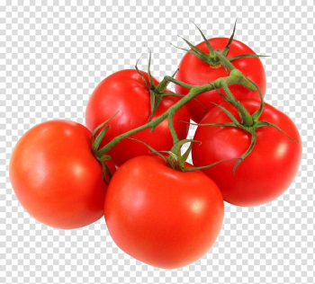 Cherry tomatoes illustration, Tomato juice Vegetable Cherry tomato Food Fruit, Tomatoes Tomato transparent background PNG clipart
