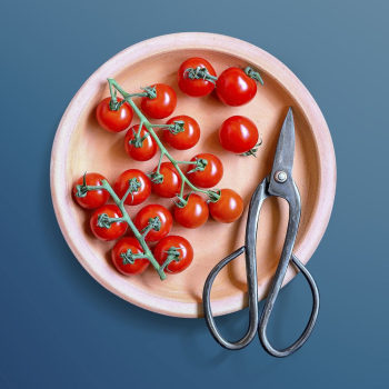 Cherry tomatoes on a plate | Free PSD - rawpixel Cherry tomatoes on a plate | Free PSD - rawpixel