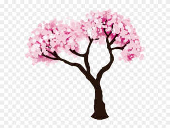 Cherry Tree Clipart Transparent - Easy Cherry Blossom Tree Drawing