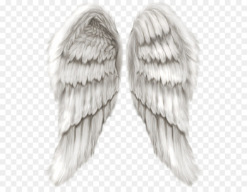 Cherub Wing Angel - Angel wings Cherub Wing Angel - Angel wings