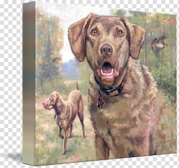 Chesapeake Bay Retriever Labrador Retriever Weimaraner Dog breed, Watercolor ship transparent background PNG clipart