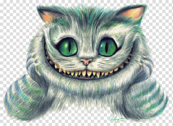 Cheshire Cat Alice's Adventures in Wonderland Queen of Hearts White Rabbit, Cat transparent background PNG clipart