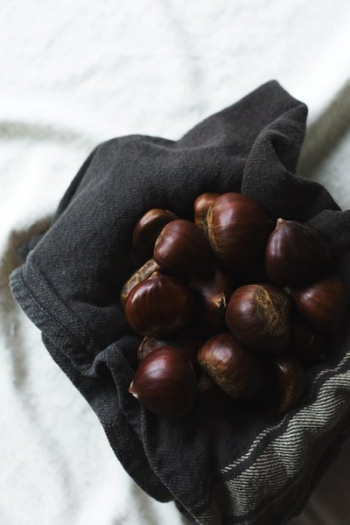 Chestnuts Bunched Together In A Cloth Chestnuts Bunched Together In A Cloth