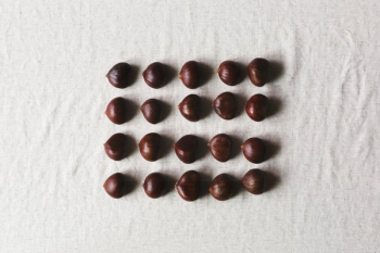 Chestnuts Lined Up In A Flatlay Chestnuts Lined Up In A Flatlay