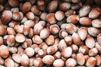 Chestnuts Texture Chestnuts Texture