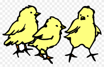 Chick Baby, Barn, Farm, Chicken, Art, Chicks, Chick - Baby Chicks Clipart Chick Baby, Barn, Farm, Chicken, Art, Chicks, Chick - Baby Chicks Clipart