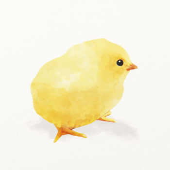 Chick watercolor illustration, cute animal | Free Photo Illustration - rawpixel Chick watercolor illustration, cute animal | Free Photo Illustration - rawpixel