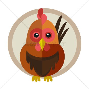 Chicken Chicken