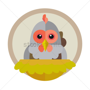 Chicken Chicken