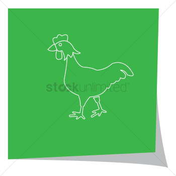 Chicken Chicken