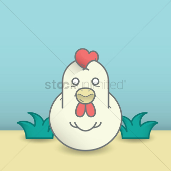 Chicken Chicken